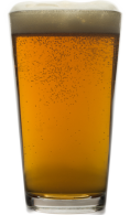 Spring Chili Ale