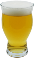 Exit 205 Session IPA