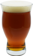 Dam Straight Lager
