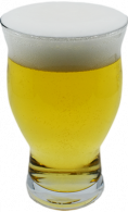 Paradise Pilsner
